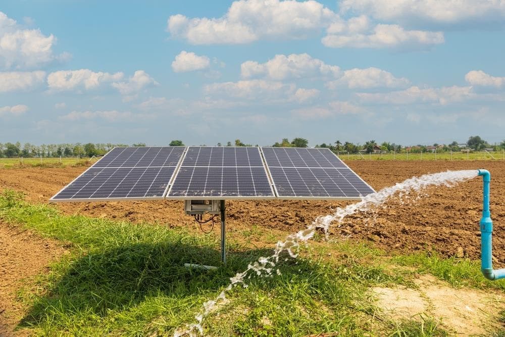¡Apuesta por la energía solar en tu explotación agrícola!