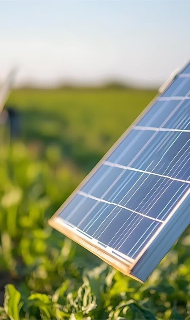 Cómo elegir el sistema de bombeo solar adecuado